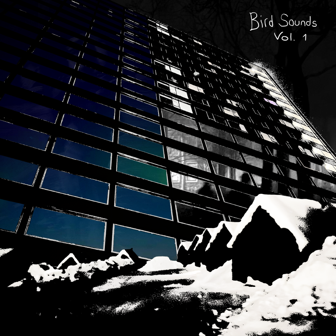 The cover for Bird Sounds Vol. 1.